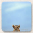 Recherche de vue face dessous de verres Plan rapproché