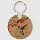 Recherche de colibri en vol porteclés Nature