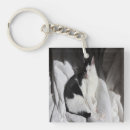 Zoek naar zwart witte katten sleutelhangers Katje