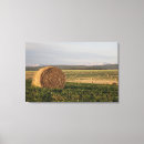 Zoek naar boerderijen kunst Oogst