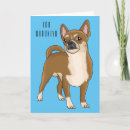 Zoek naar cartoon chihuahua kaarten Hond