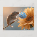 Recherche de myosotis de cartes postales Fleur