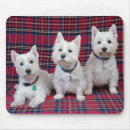 Recherche de westie tapis souris Blanc