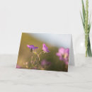 Zoek naar kraanvogel kaarten Geranium