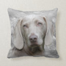 Recherche de weimaraner coussins Amoureux des chiens