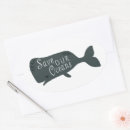 Zoek naar witte vis stickers Ocean