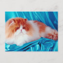 Recherche de perse cartes postales Animal