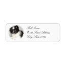 Recherche de pomeranian Chien