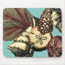 Recherche de poissons mer tapis souris Coquillage