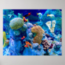 Recherche de poissons exotiques posters Coloré