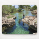 Recherche de habitat tapis souris Île