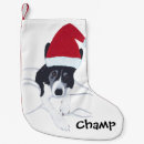 Recherche de border collie chaussette de noël Colley