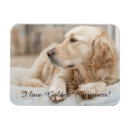 Recherche de extracteur magnets Animaux domestiques