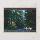 Recherche de street cartes postales Californie