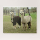 Recherche de alpaca puzzles Animal