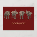 Recherche de bonne chance cartes postales Doux