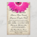 Recherche de gerber rose invitations Marguerie