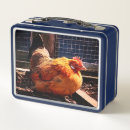 Zoek naar vogel lunchboxen Oranje