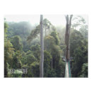 Recherche de arbre tropical posters Pour lui