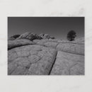 Recherche de arbre solitaire Photographie de paysage
