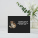 Recherche de sympathie de chat vœux cartes Mémorial