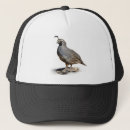 Recherche de caille casquettes Oiseau