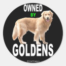 Recherche de goldens autocollants D'or