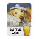 Recherche de extracteur magnets Récupérateur doré