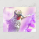 Recherche de rose et violet cartes postales Jardin