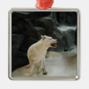 Recherche de loups blancs ornements Faune