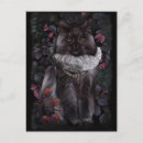 Recherche de aristocrate cartes postales Chat