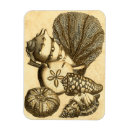 Recherche de corail magnets Étoile de mer