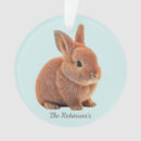 Recherche de lapin bleu maison deco Moderne