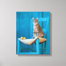 Recherche de amoureux des chats toiles Drôle
