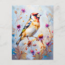 Recherche de chardonneret cartes postales Nature