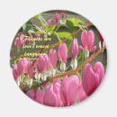 Recherche de veuve magnets Saignée