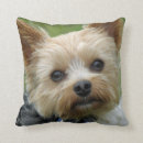Recherche de visage de chien coussins Terrier