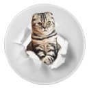Recherche de cat boutons et poignées de porte Photographie