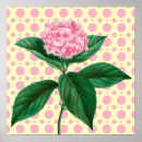 Recherche de fleur vintage posters Nature