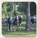Zoek naar paarden onderzetters Ruitsport