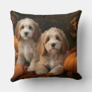 Recherche de cockapoo coussins Chiot