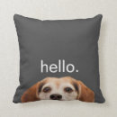 Recherche de chien beagle coussins Amoureux des animaux