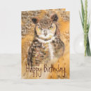 Zoek naar gekke uil briefkaarten Vogel