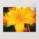 Recherche de le jour cartes postales Pour elle