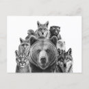 Recherche de prédateur cartes postales Animal