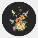 Recherche de migration de colibri Photographie d'oiseau