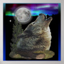 Recherche de loup de nuit posters Imaginaire