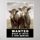 Recherche de humour vache posters Bétail