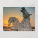 Recherche de kelpie Dessin