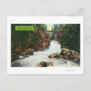 Recherche de lynn cartes postales Canyon